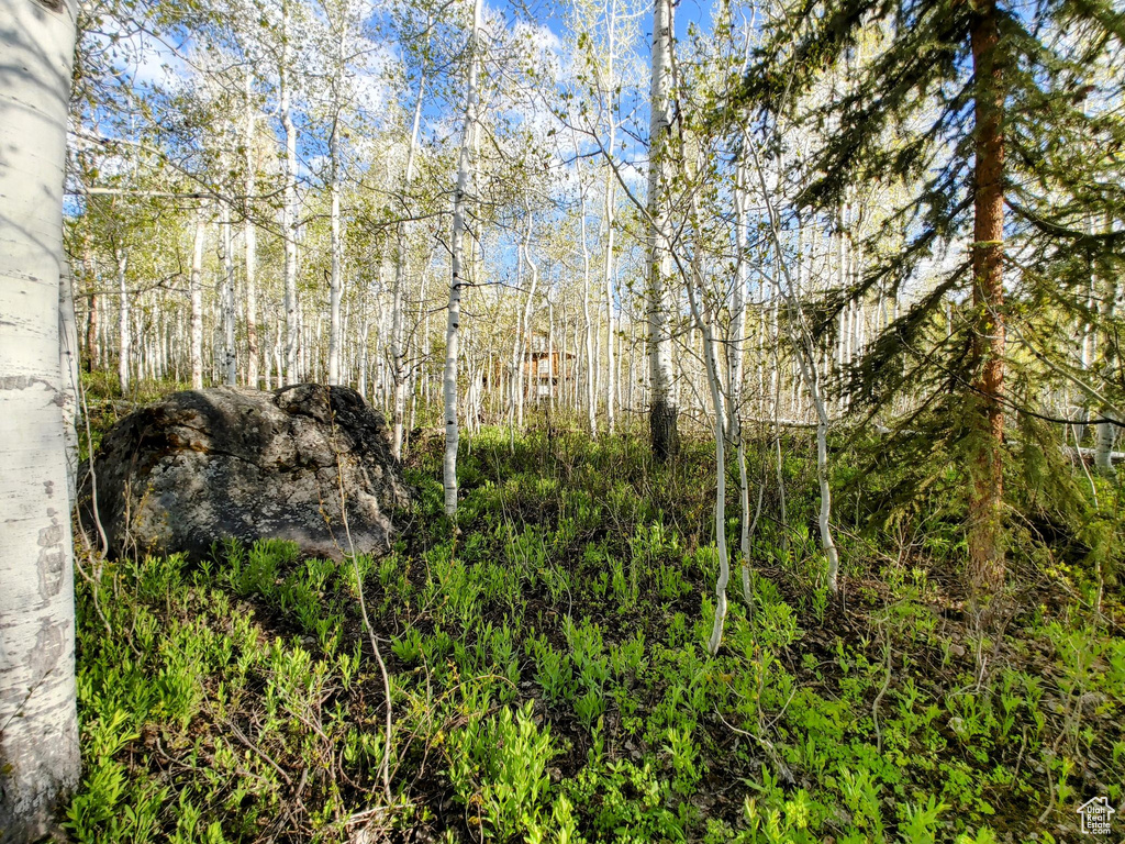 View of undeveloped land