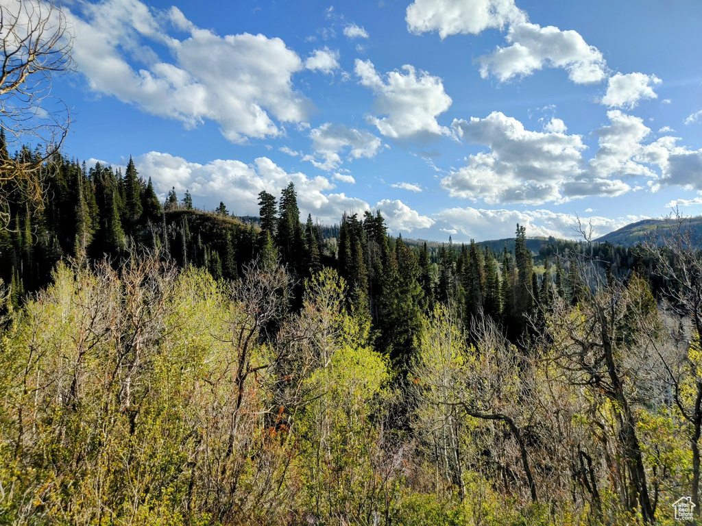 View of mountain backdrop featuring a heavily wooded area