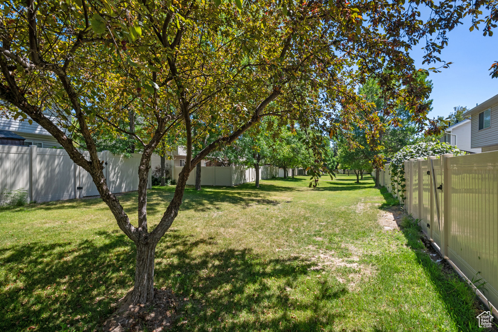 Photo 23 for MLS #2072783 at 962 N Independence