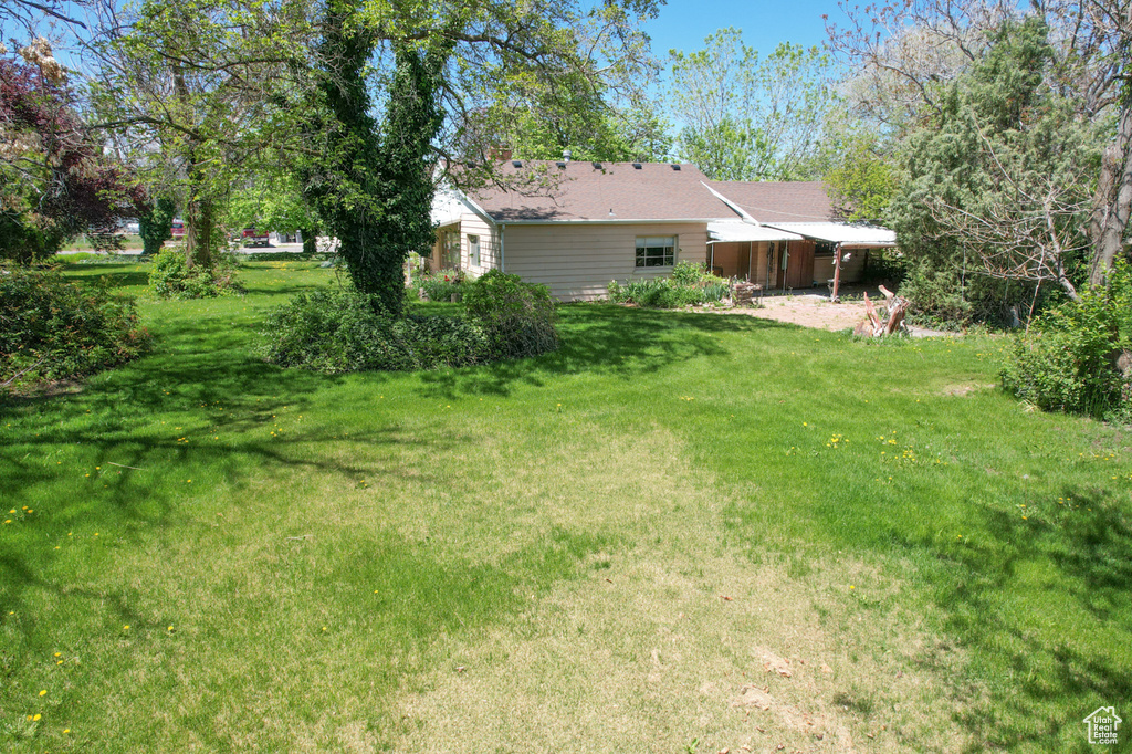 View of grassy yard