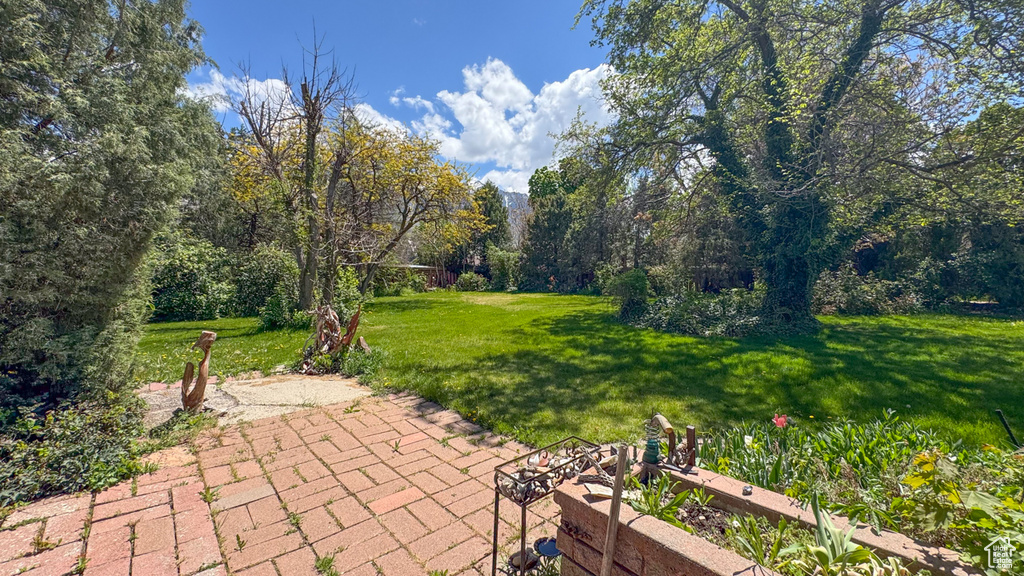 View of green lawn with a patio area
