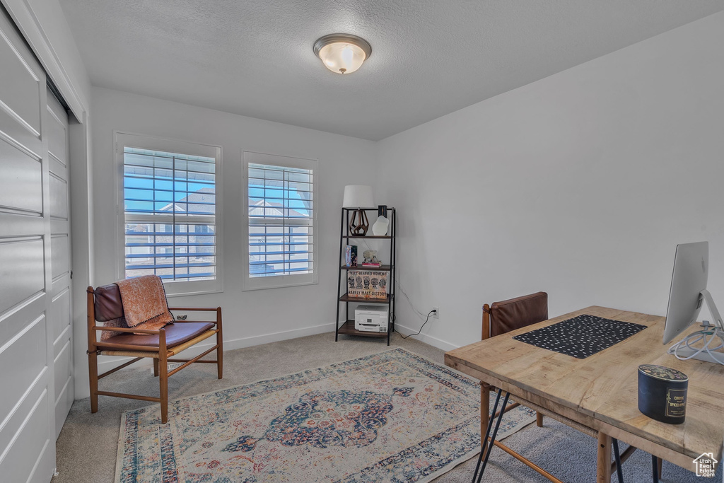 Office featuring light carpet, baseboards, and a textured ceiling