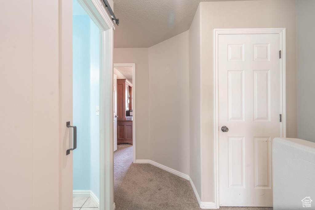 Corridor featuring baseboards, carpet flooring, and a textured ceiling
