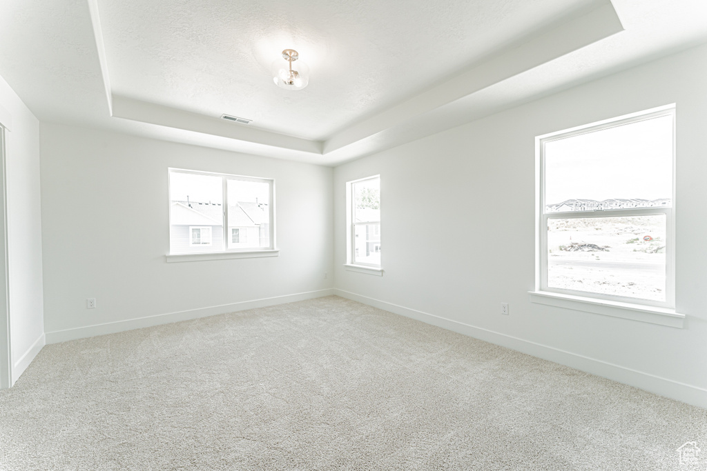 Carpeted empty room with a raised ceiling and baseboards