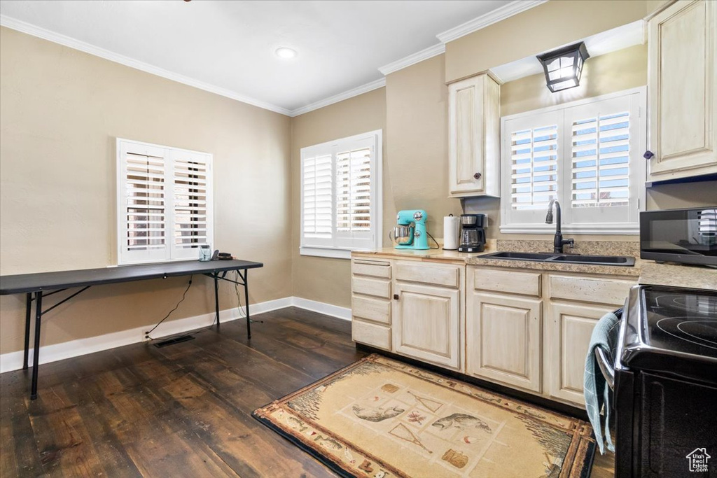 Kitchen with crown molding, baseboards, a sink, dark wood-style floors, and black appliances