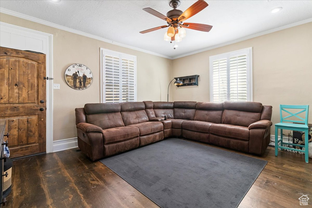 Living area featuring ceiling fan, wood finished floors, and ornamental molding