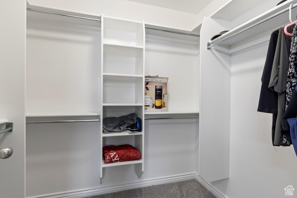 Spacious closet with carpet floors