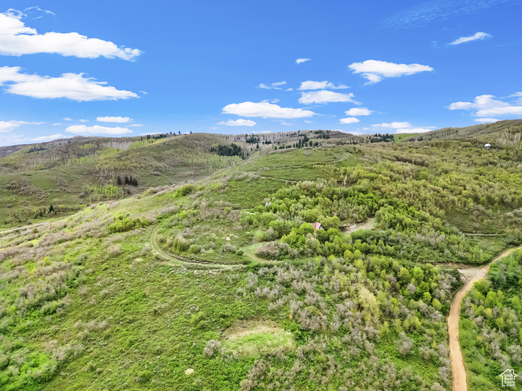 Drone / aerial view of mountains