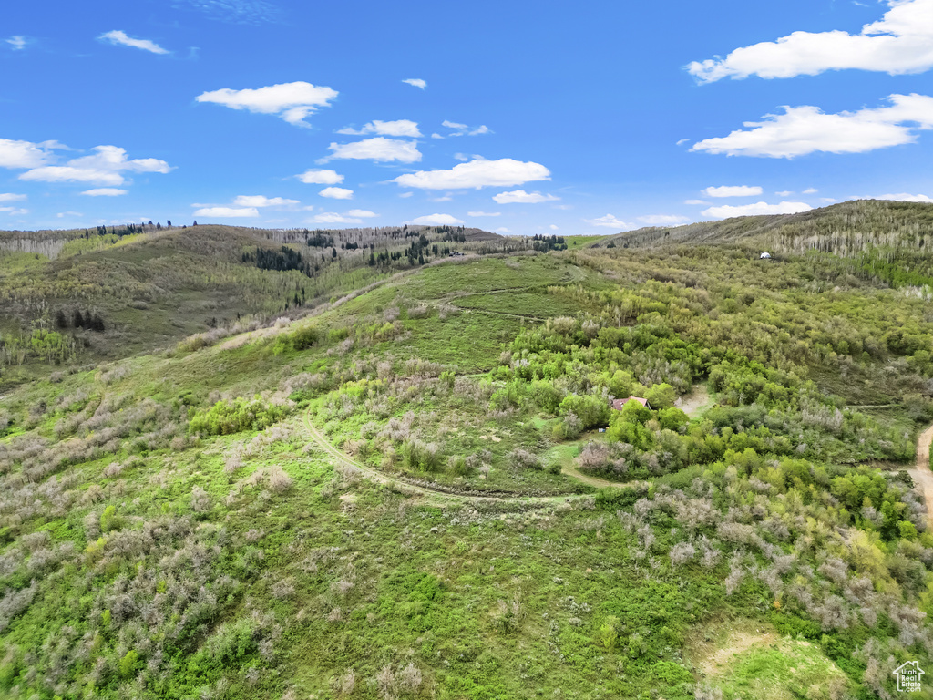 View of mountain background