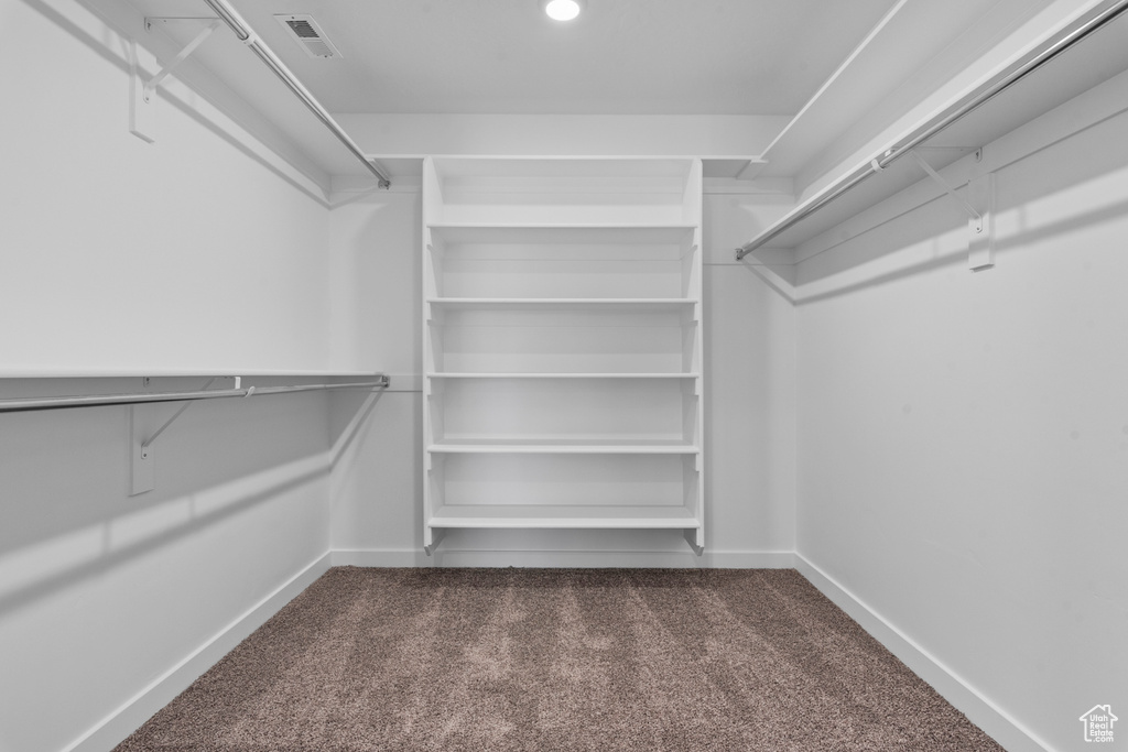 Spacious closet featuring visible vents and dark colored carpet