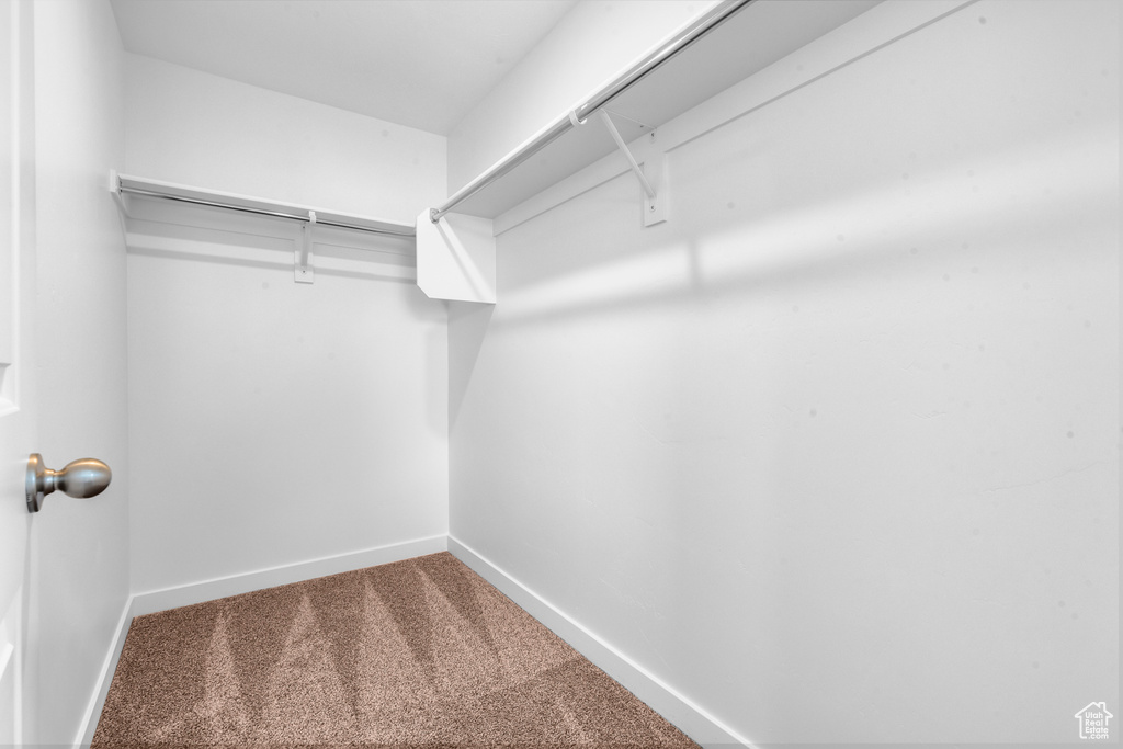 Spacious closet featuring carpet flooring