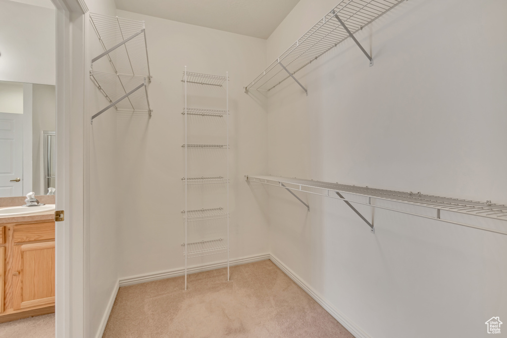 Walk in closet with a sink and light colored carpet