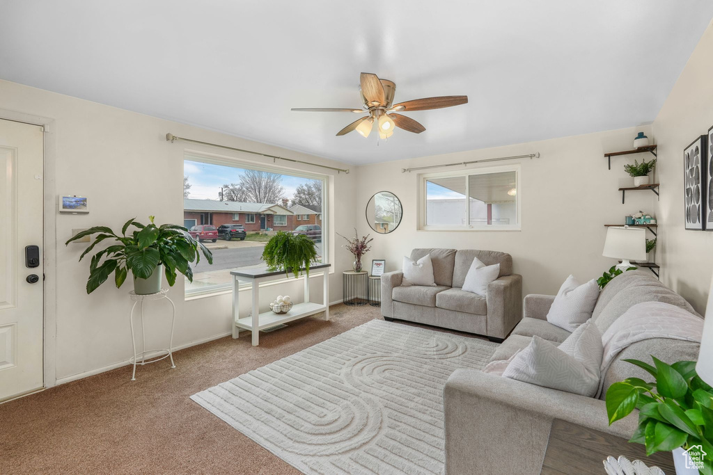 Carpeted living area featuring baseboards and ceiling fan