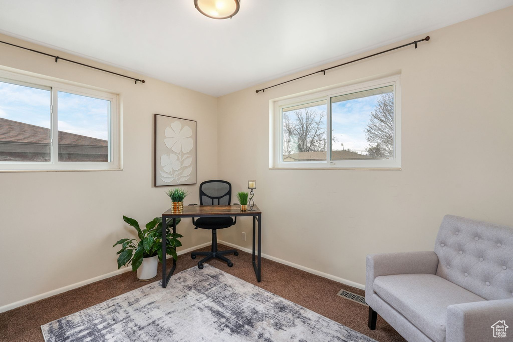 Carpeted office with baseboards, a healthy amount of sunlight, and visible vents