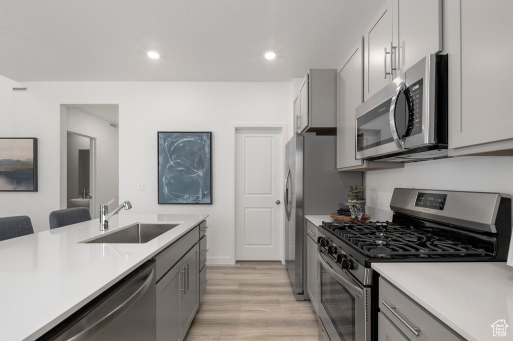 Kitchen with gray cabinetry, light countertops, a sink, and appliances with stainless steel finishes