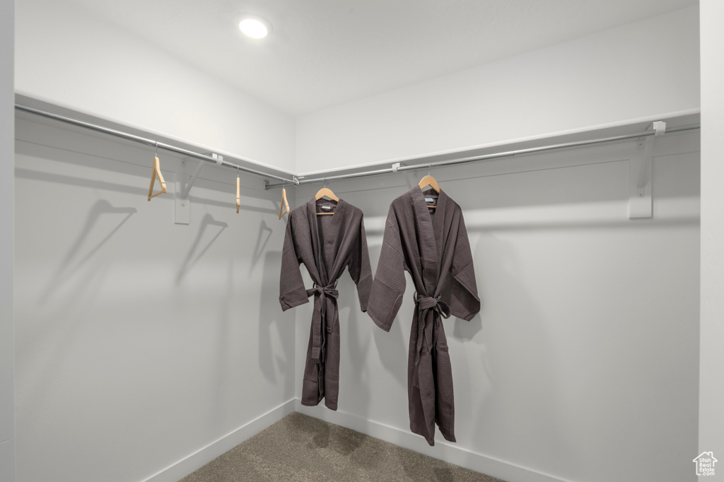 Walk in closet with carpet flooring