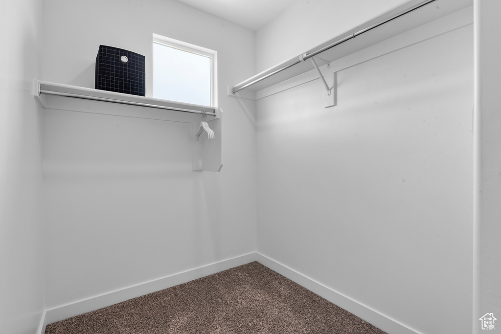 Spacious closet featuring dark carpet
