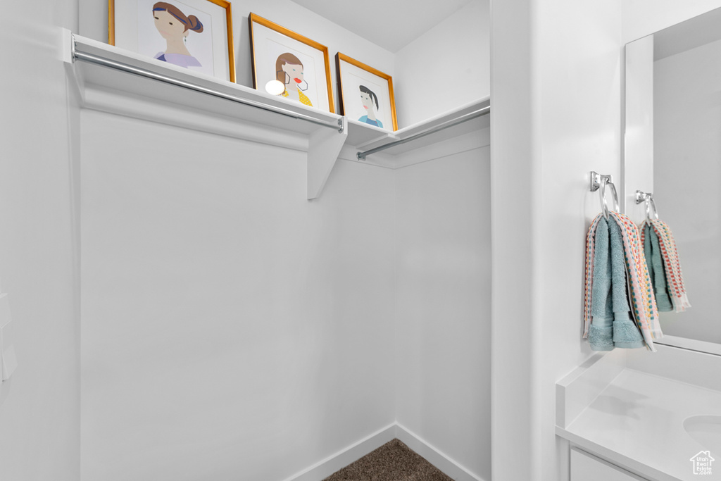Spacious closet featuring carpet
