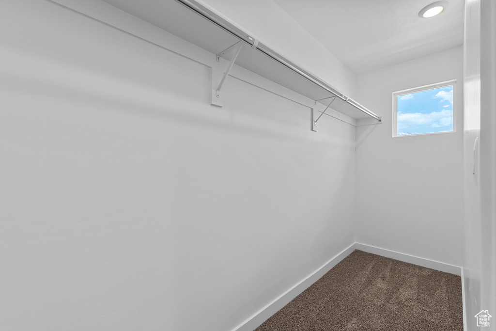 Walk in closet with dark colored carpet