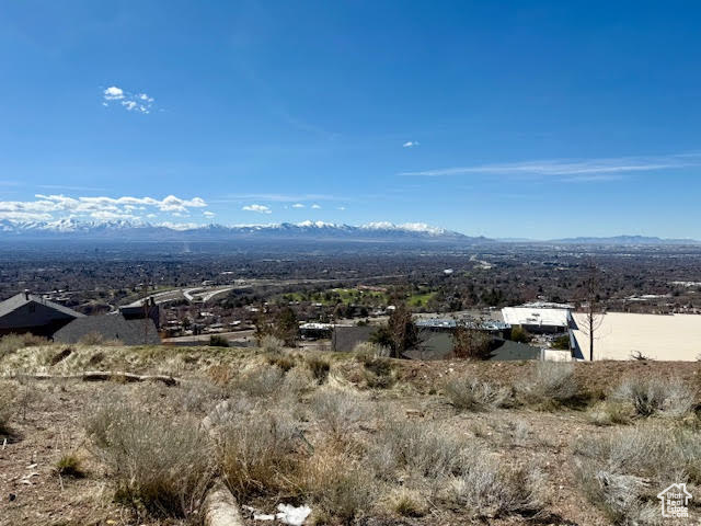 Mountain view