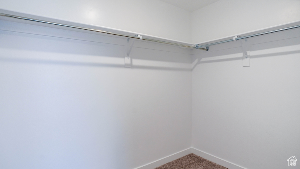 Spacious closet featuring carpet