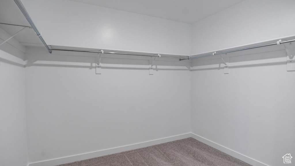 Walk in closet with carpet flooring