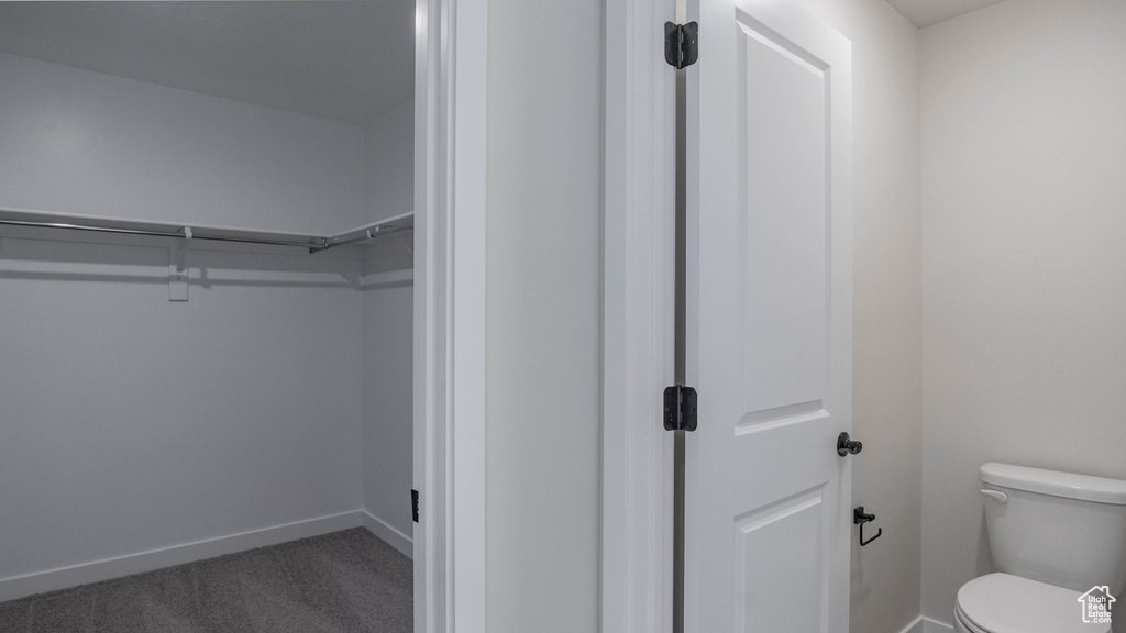 Spacious closet featuring carpet flooring