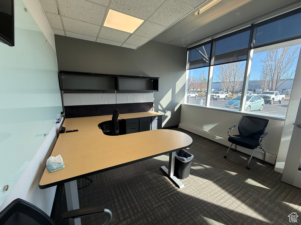 Home office with baseboards, carpet floors, and a paneled ceiling
