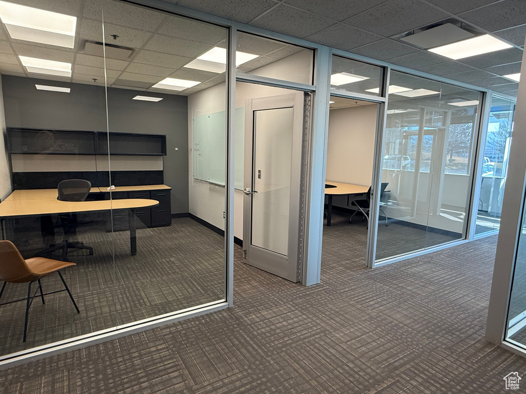Unfurnished office featuring floor to ceiling windows, carpet floors, baseboards, and a paneled ceiling