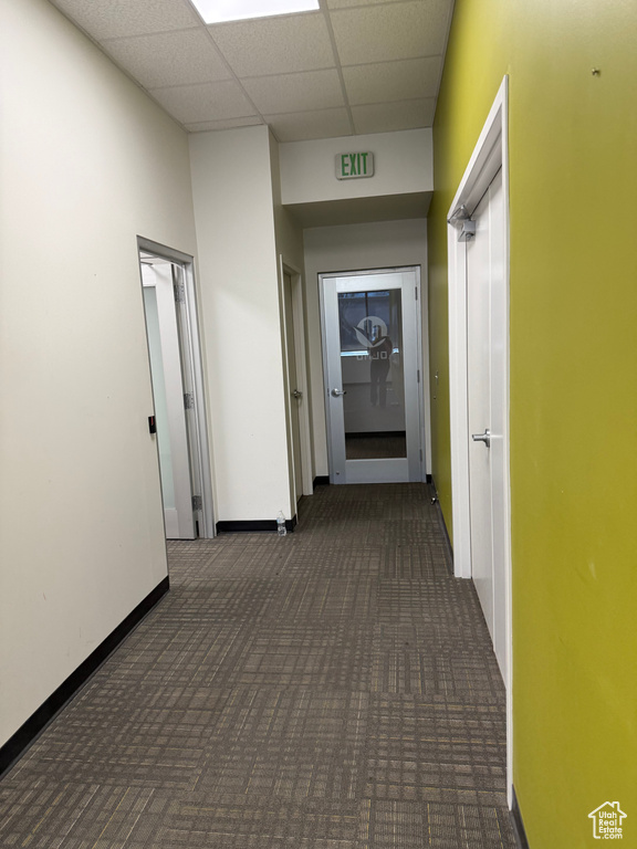 Hall with baseboards, a drop ceiling, and carpet
