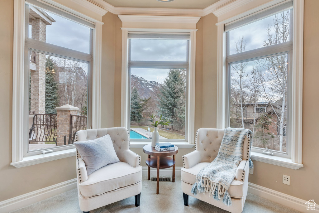 Sitting room featuring baseboards, carpet floors, and ornamental molding