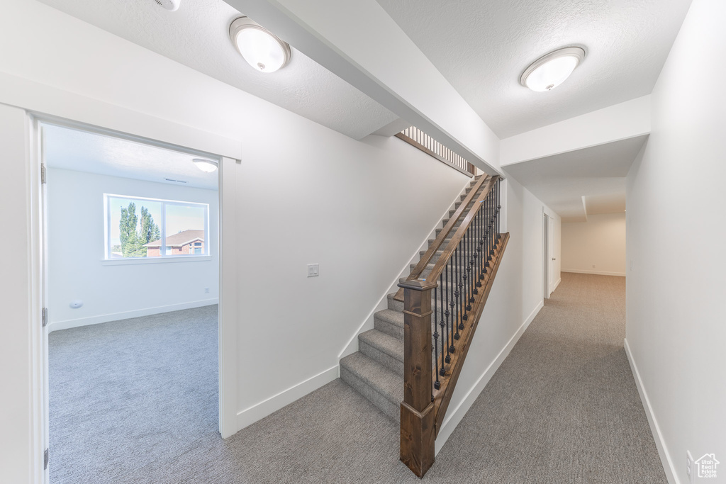 Staircase featuring carpet flooring and baseboards