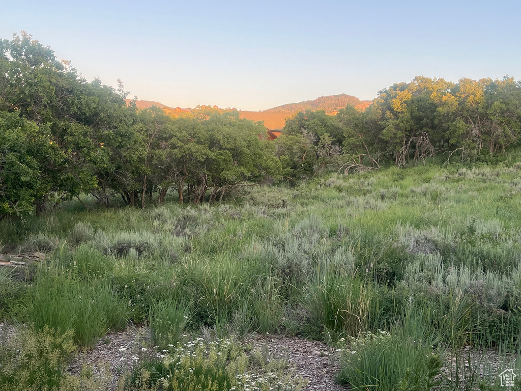 2204 S TIMBER LAKES DR #945 Heber City, UT 84032