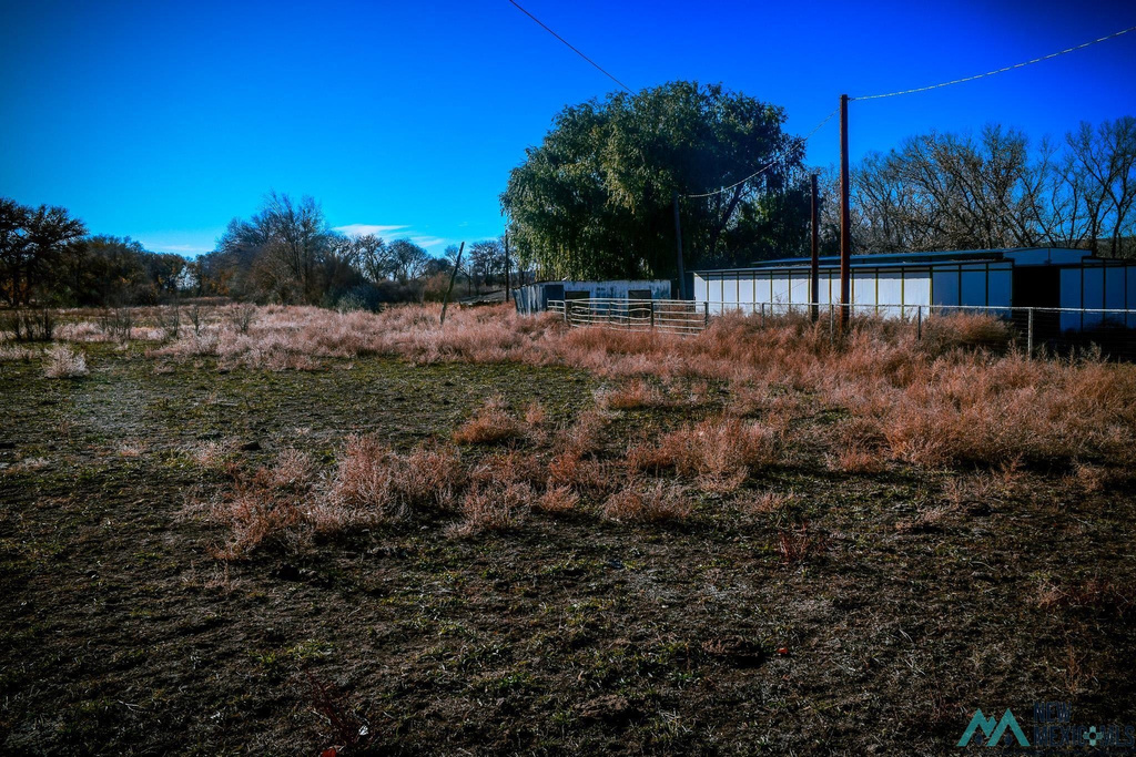 Photo #29
