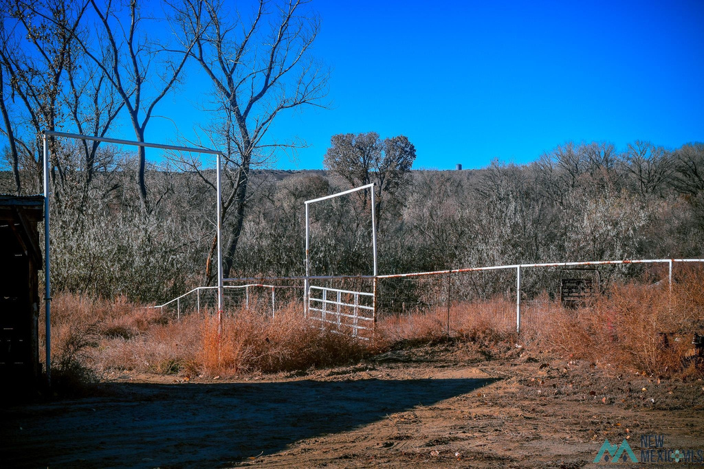 Photo #16