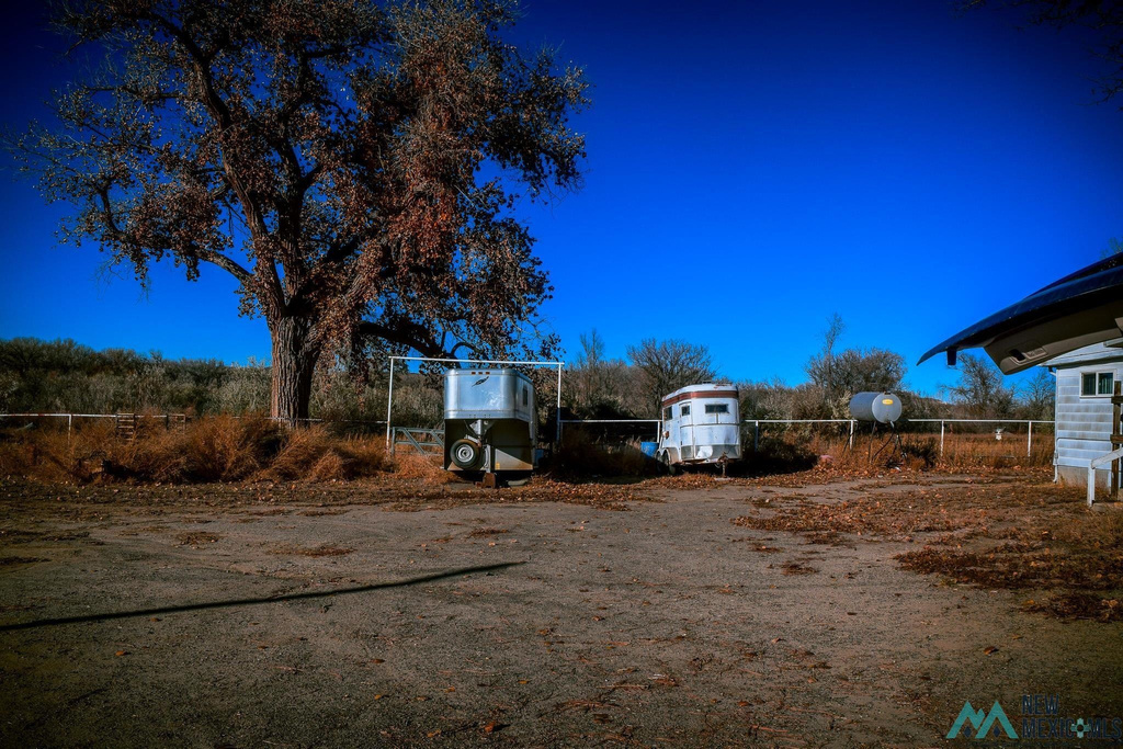 Photo #36