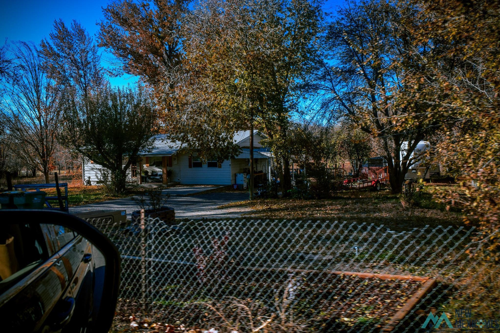 Photo #38
