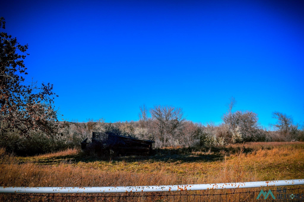 Photo #17