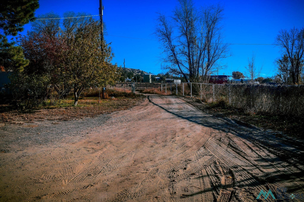 Photo #24