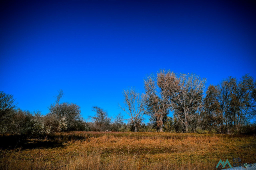 Photo #21