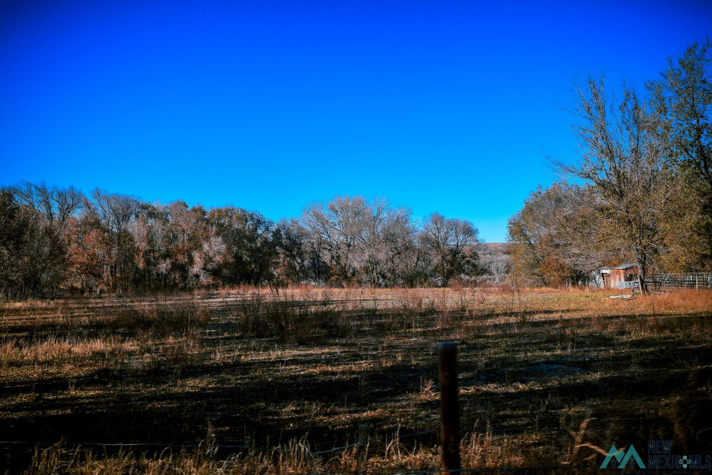 Photo #41