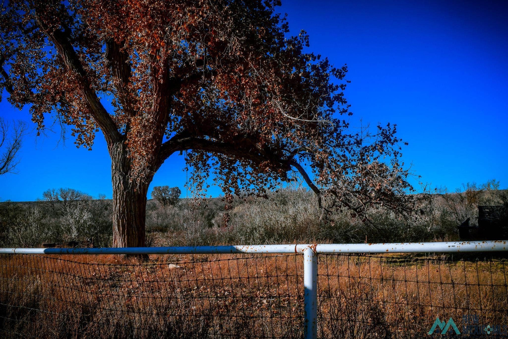 Photo #19