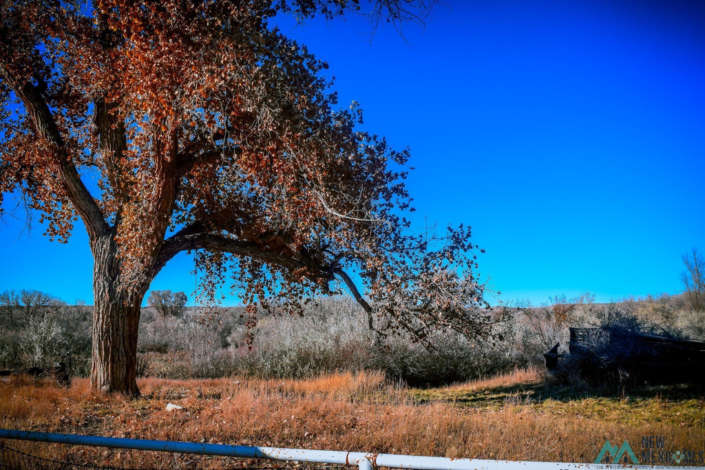 Photo #14