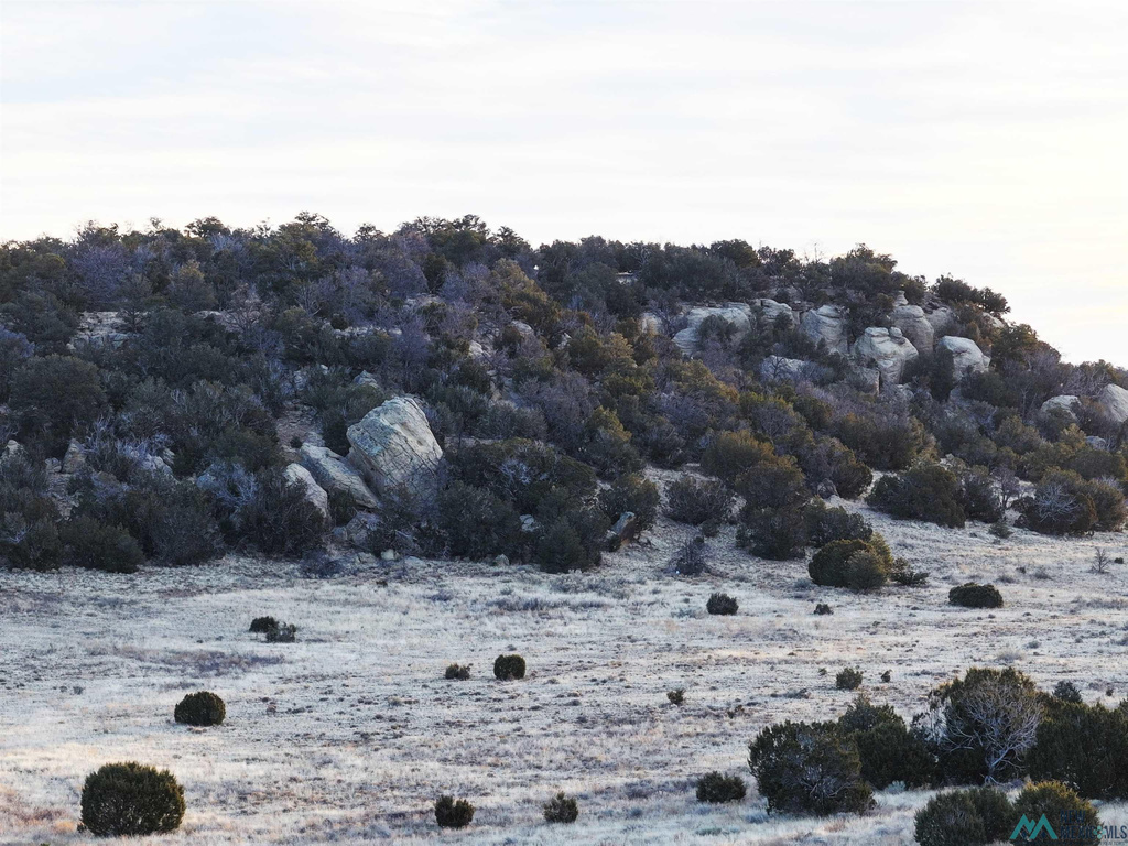 Photo #30