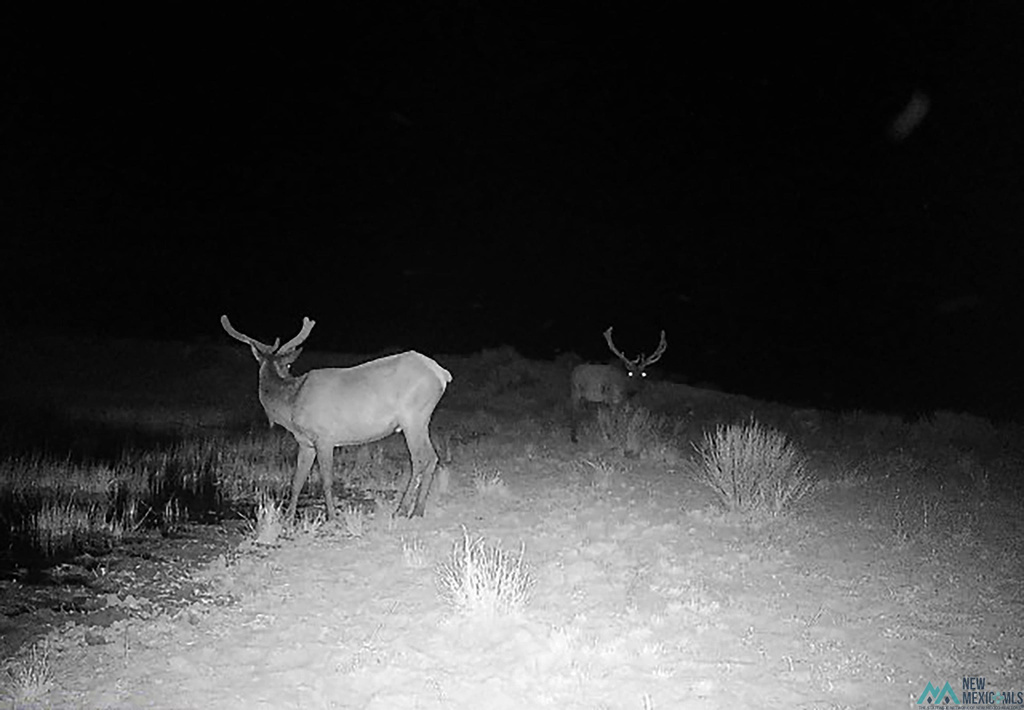 Photo #20