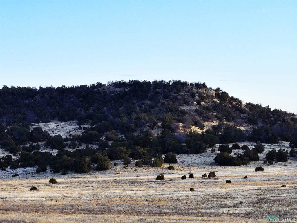 Photo #19