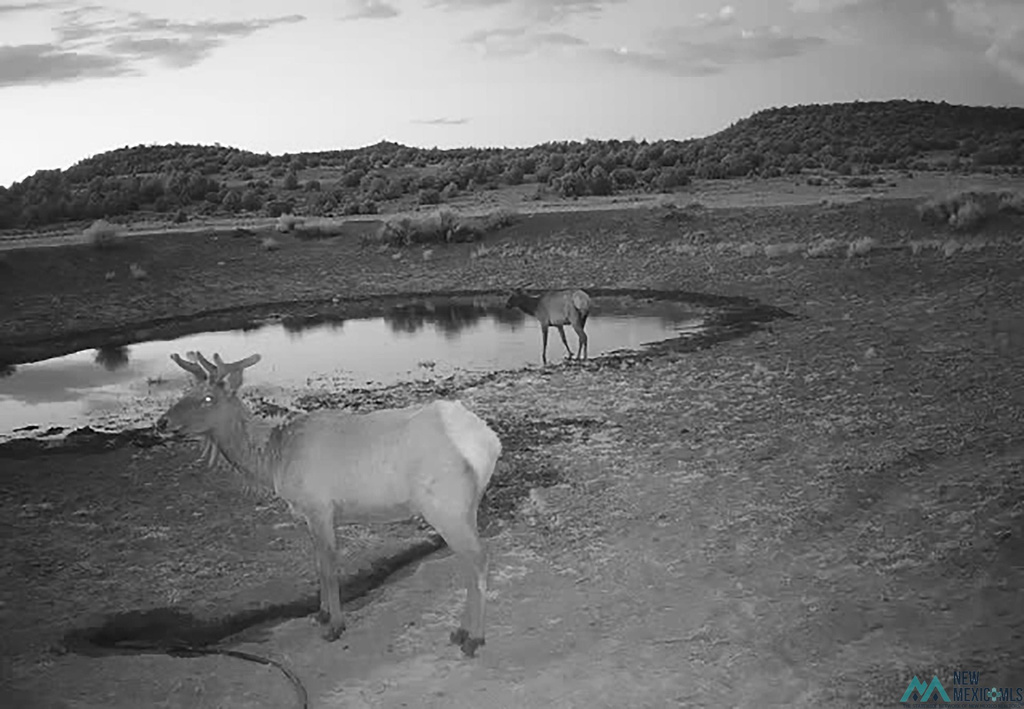 Photo #28
