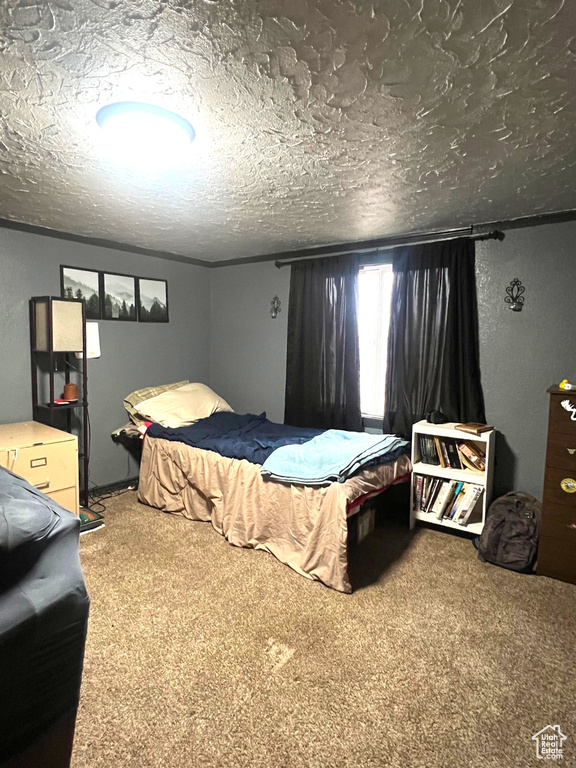 Bedroom with a textured ceiling