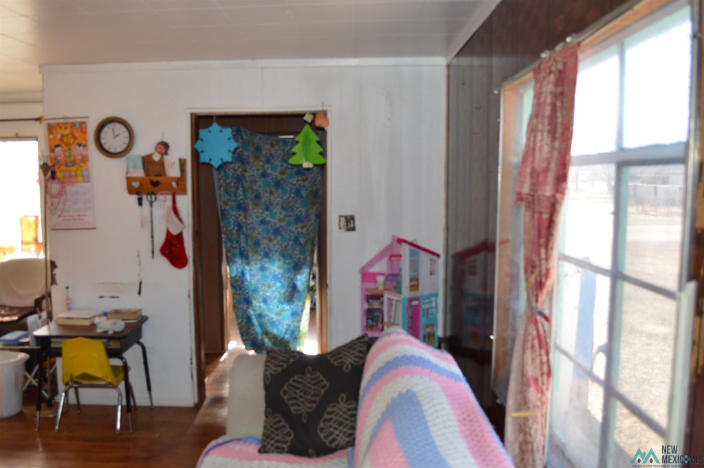 Photo #41