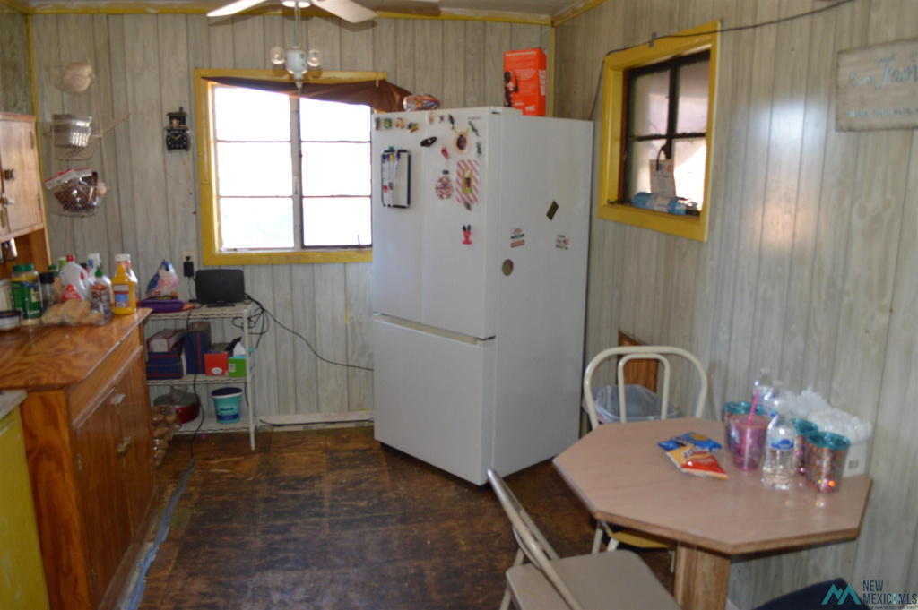 Photo #13